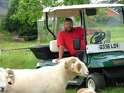 Nigel Woodrup checks his rams in his converted golf buggy